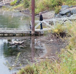 Low water levels in Cowichan Lake