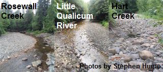 Rosewall Creek, Little Qualicum River, & Hart Creek in Drought. Photos by Stephen Hume